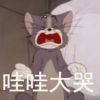 内蒙古网友97540