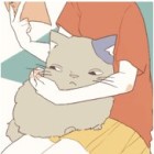QQ头像