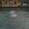 陕西网友82302