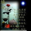 河南网友92961