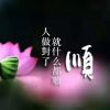 澳门网友37330