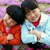 内蒙古网友62431