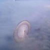 青海网友42623