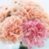 陕西网友22076