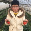 江西网友44629
