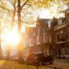 海南网友33965