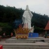 重庆网友91954