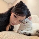 QQ头像