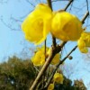 四川网友24502