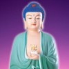 澳门网友24400