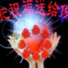 海南网友43203