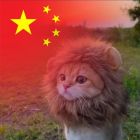QQ头像