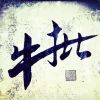 山东网友31872