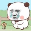 新疆网友26913