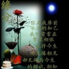 云南网友75620