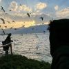 浙江网友97579
