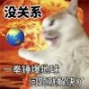 海南网友26916