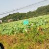 新疆网友53574