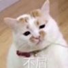 评论头像