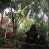 澳门网友25951