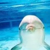 浙江网友65235