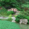 贵州网友54176