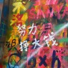 河南网友17150