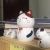 广东网友81572