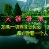 福建网友70155