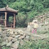 树民世拽水静