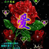 湖北网友78491