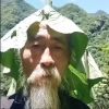 评论头像