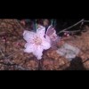 澳门网友73248