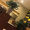 辽宁网友64936