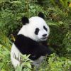 河南网友87322