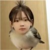 内蒙古网友44400