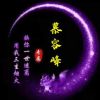 河南网友21957