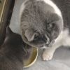 江西网友11707