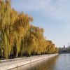 青海网友45986
