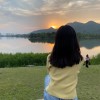 山东网友66237
