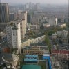 台湾网友82126