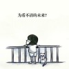 湖北网友22304