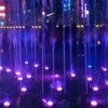 内蒙古网友82457