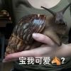 贵州网友54862