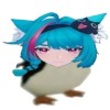 甘肃网友40051