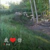 澳门网友72199