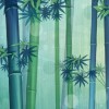 浙江网友64408