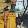 广西网友58823