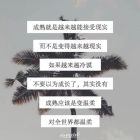 QQ头像