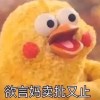评论头像